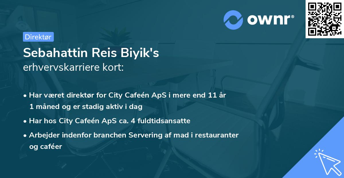 Sebahattin Reis Biyik's erhvervskarriere kort