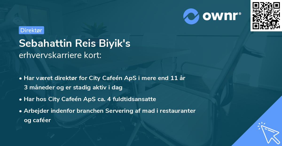 Sebahattin Reis Biyik's erhvervskarriere kort