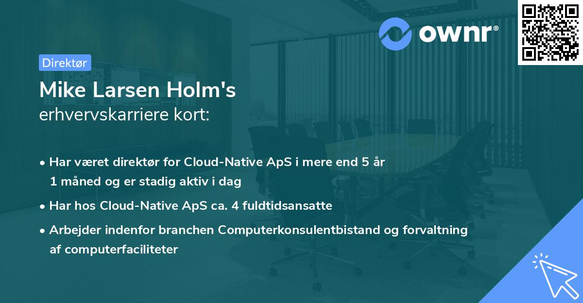 Mike Larsen Holm's erhvervskarriere kort