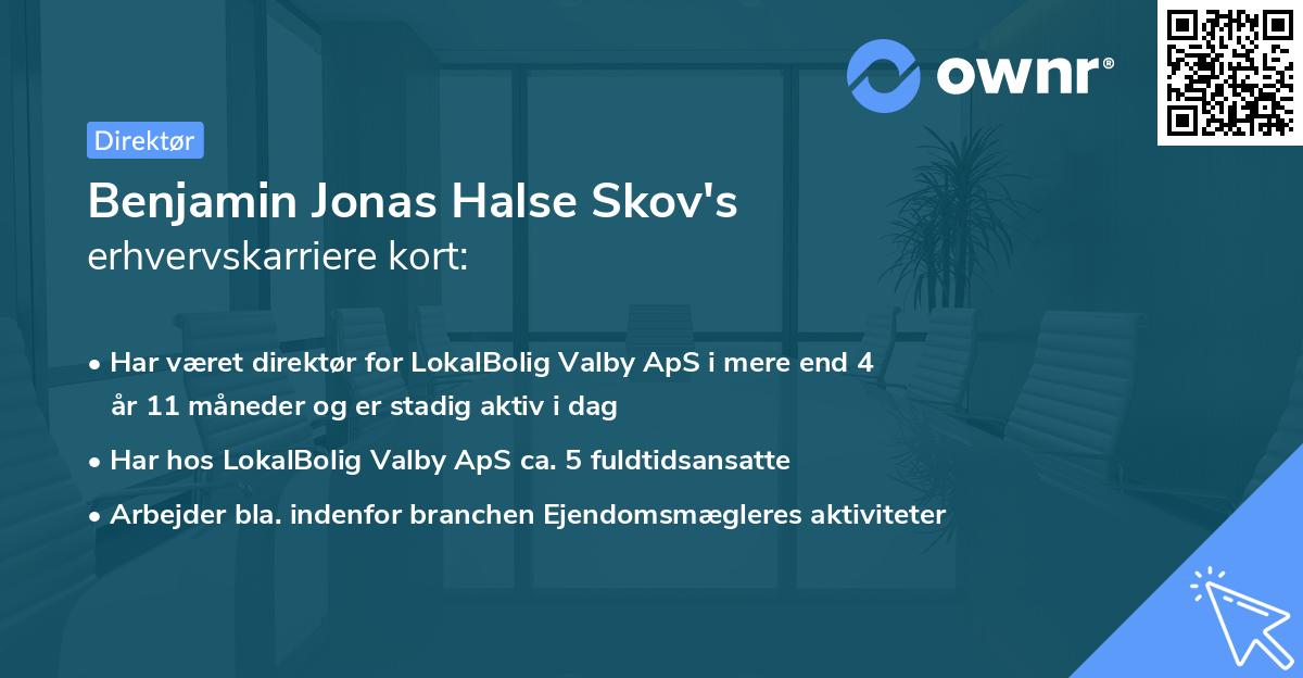 Benjamin Jonas Halse Skov's erhvervskarriere kort