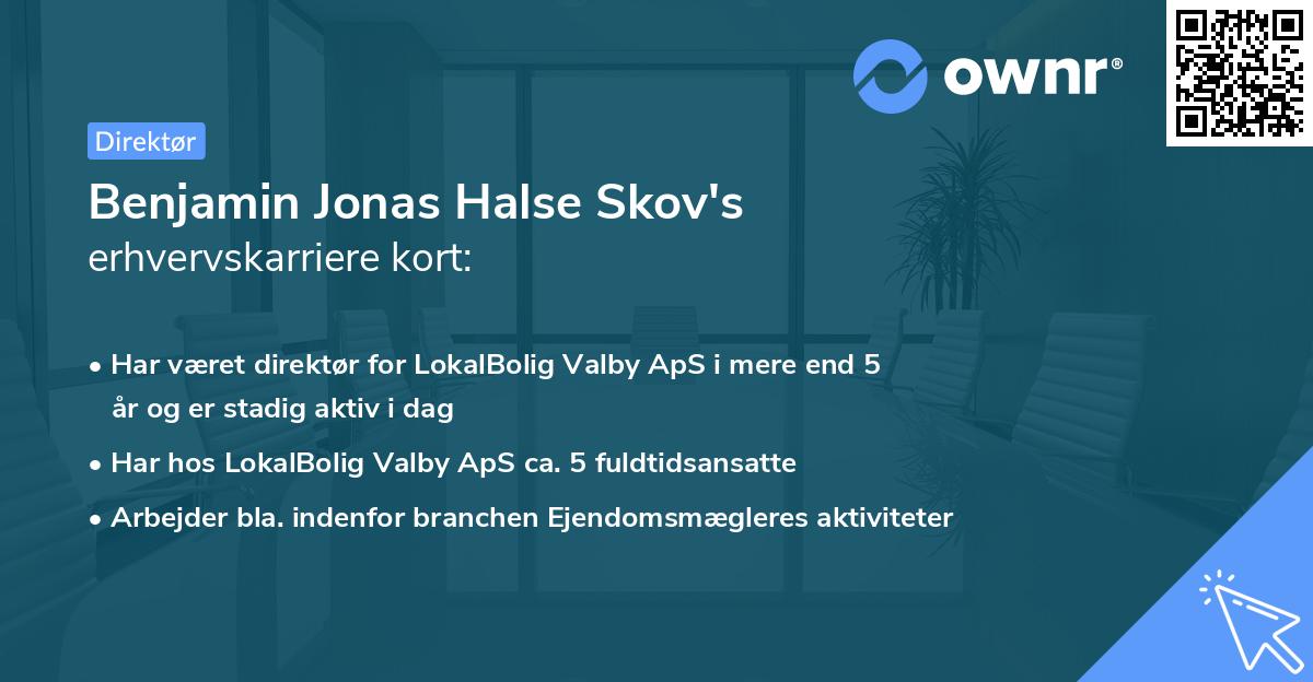 Benjamin Jonas Halse Skov's erhvervskarriere kort