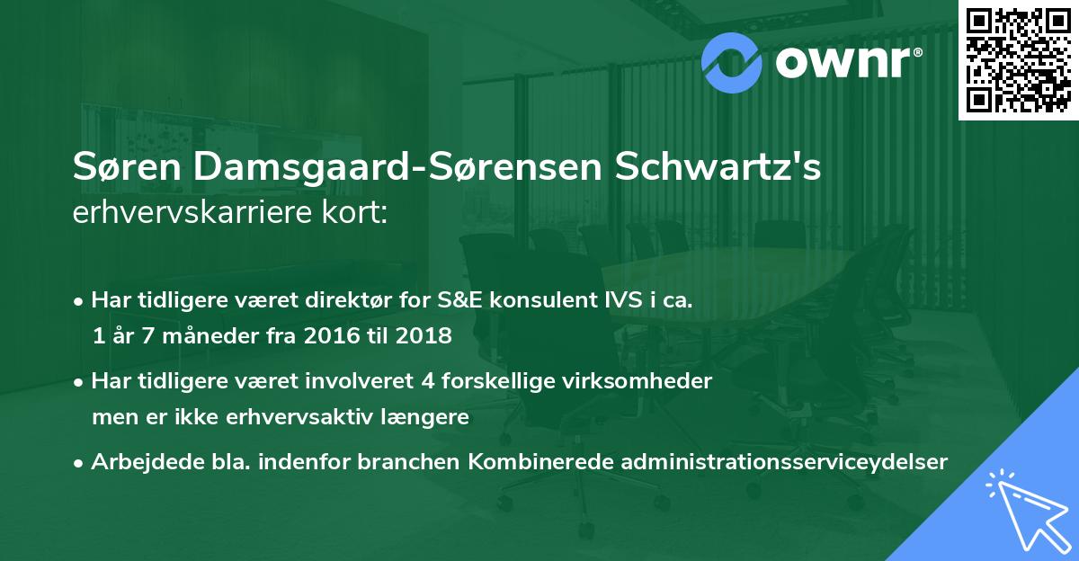 Søren Damsgaard-Sørensen Schwartz's erhvervskarriere kort