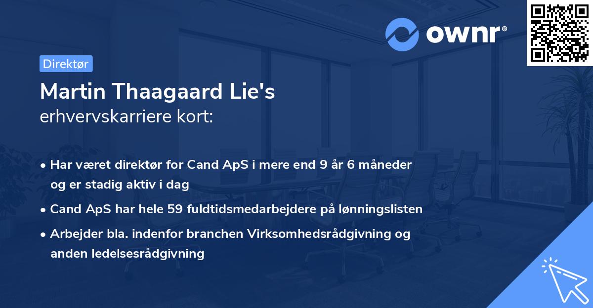Martin Thaagaard Lie's erhvervskarriere kort