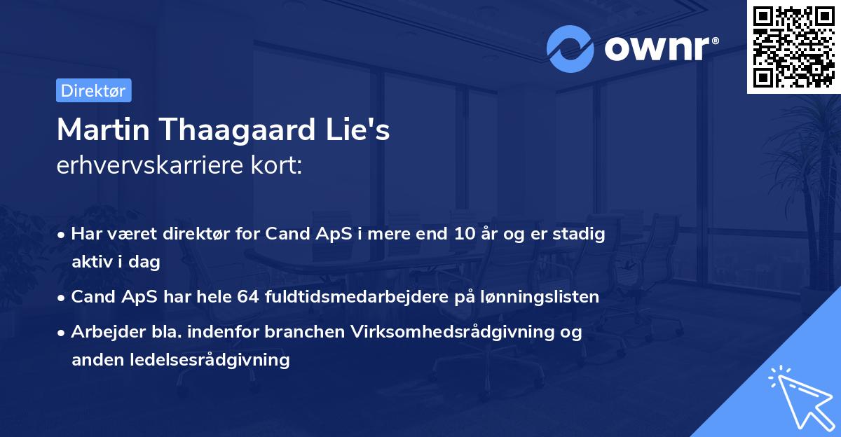 Martin Thaagaard Lie's erhvervskarriere kort
