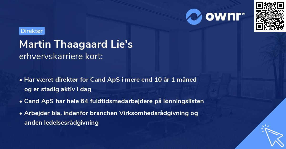 Martin Thaagaard Lie's erhvervskarriere kort