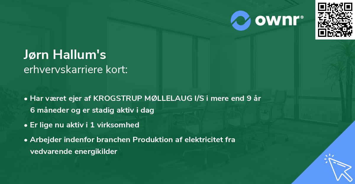 Jørn Hallum's erhvervskarriere kort