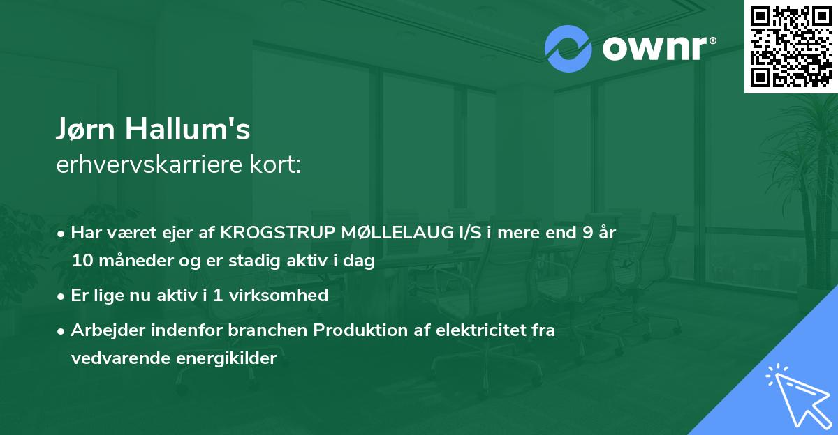 Jørn Hallum's erhvervskarriere kort