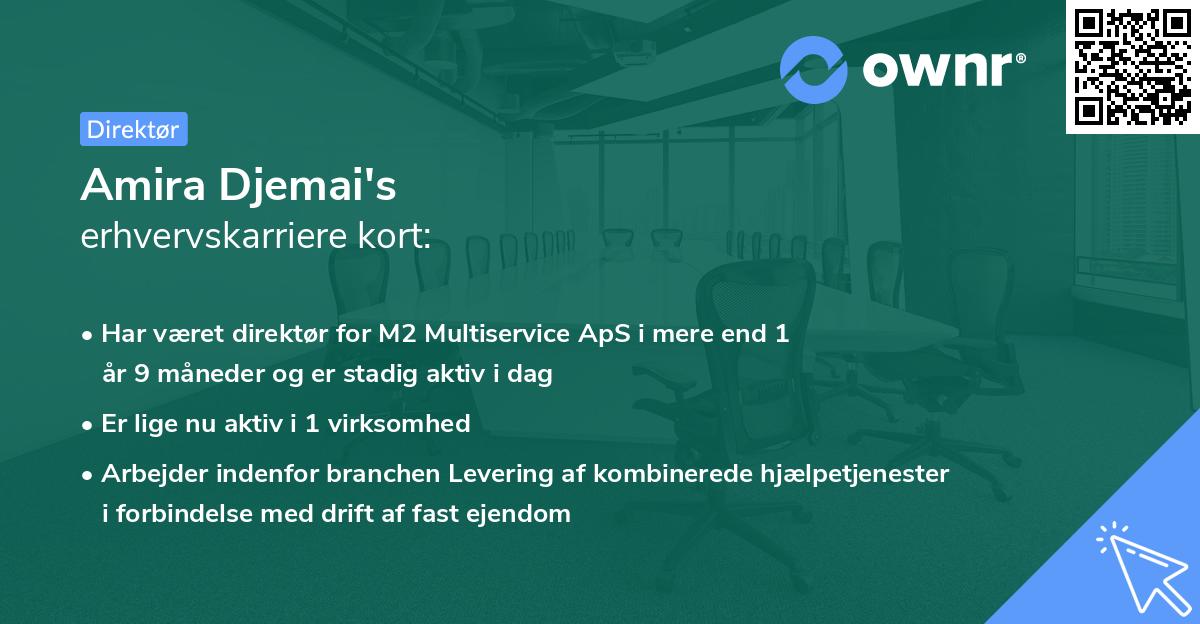 Amira Djemai's erhvervskarriere kort