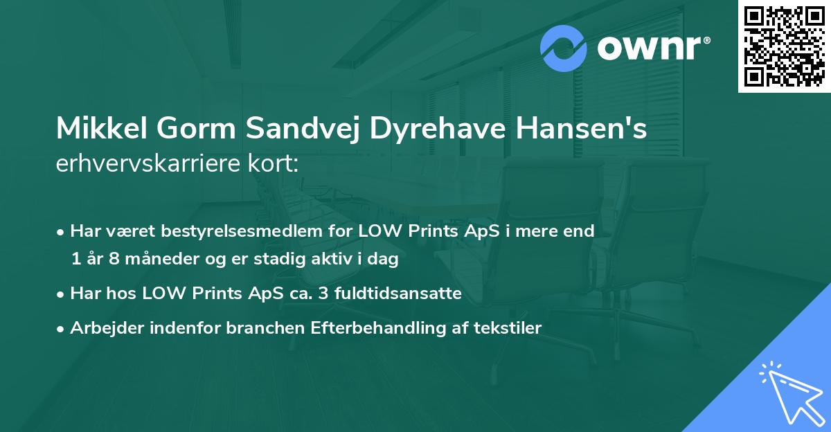 Mikkel Gorm Sandvej Dyrehave Hansen's erhvervskarriere kort