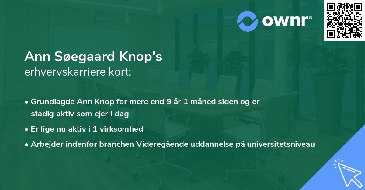 Ann Søegaard Knop's erhvervskarriere kort