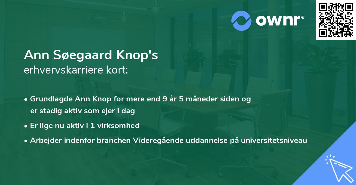 Ann Søegaard Knop's erhvervskarriere kort