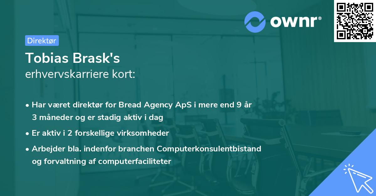 Tobias Brask's erhvervskarriere kort