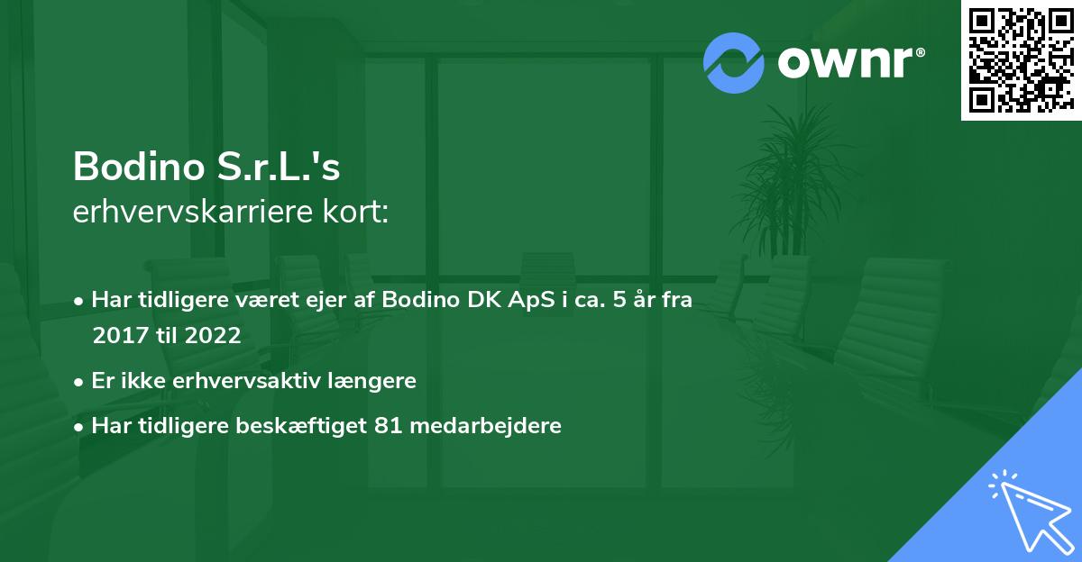 Bodino S.r.L.'s erhvervskarriere kort