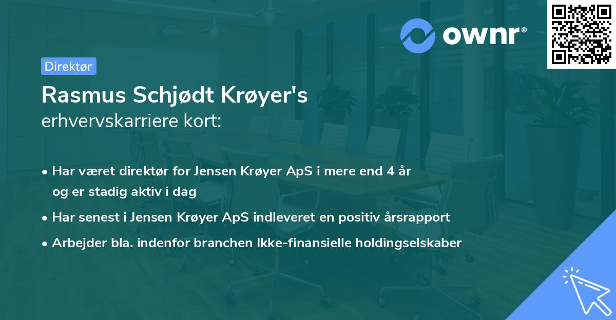 Rasmus Schjødt Krøyer's erhvervskarriere kort