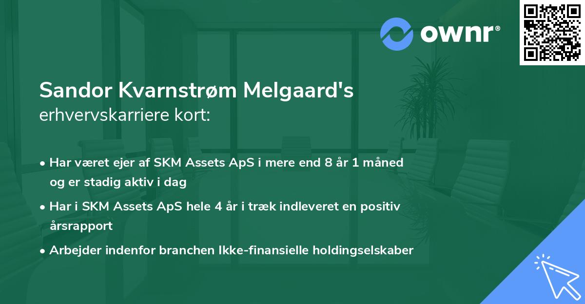 Sandor Kvarnstrøm Melgaard's erhvervskarriere kort