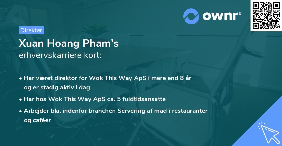 Xuan Hoang Pham's erhvervskarriere kort