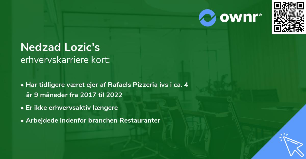 Nedzad Lozic's erhvervskarriere kort