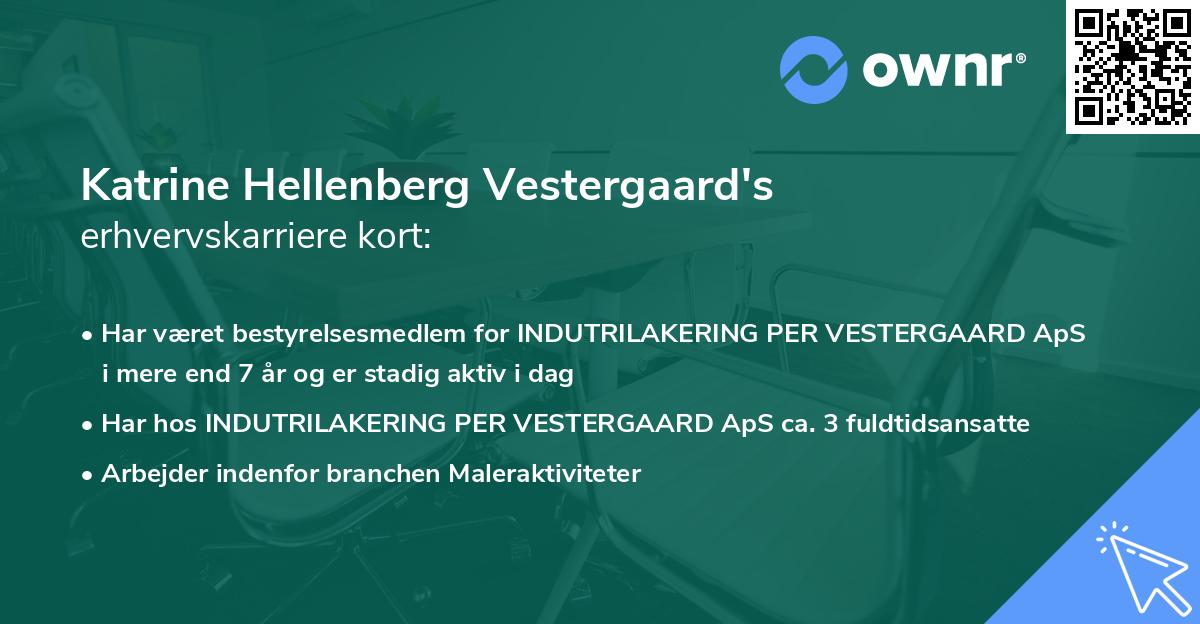Katrine Hellenberg Vestergaard's erhvervskarriere kort