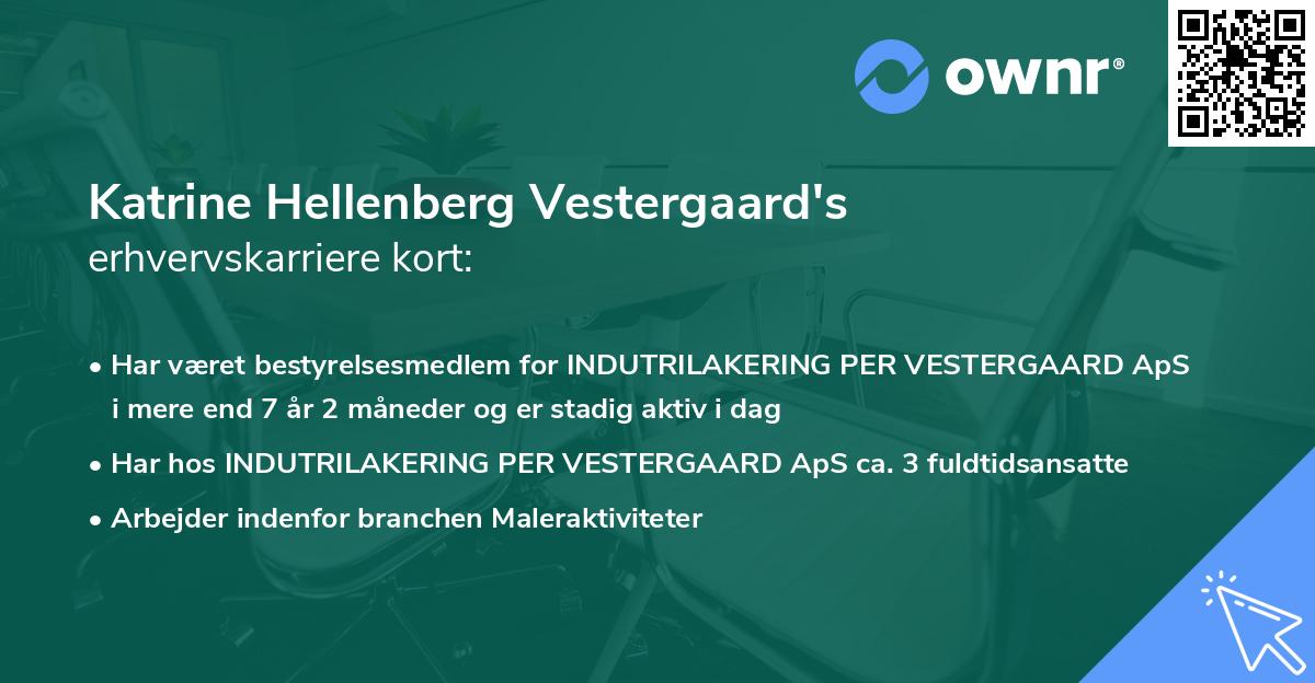 Katrine Hellenberg Vestergaard's erhvervskarriere kort