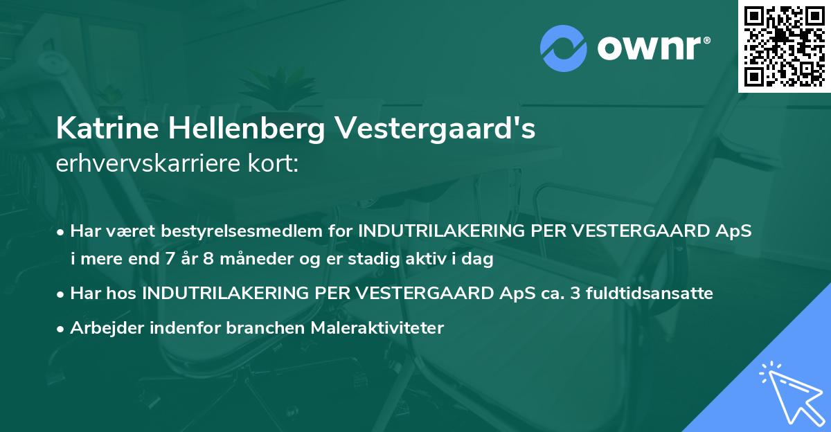 Katrine Hellenberg Vestergaard's erhvervskarriere kort