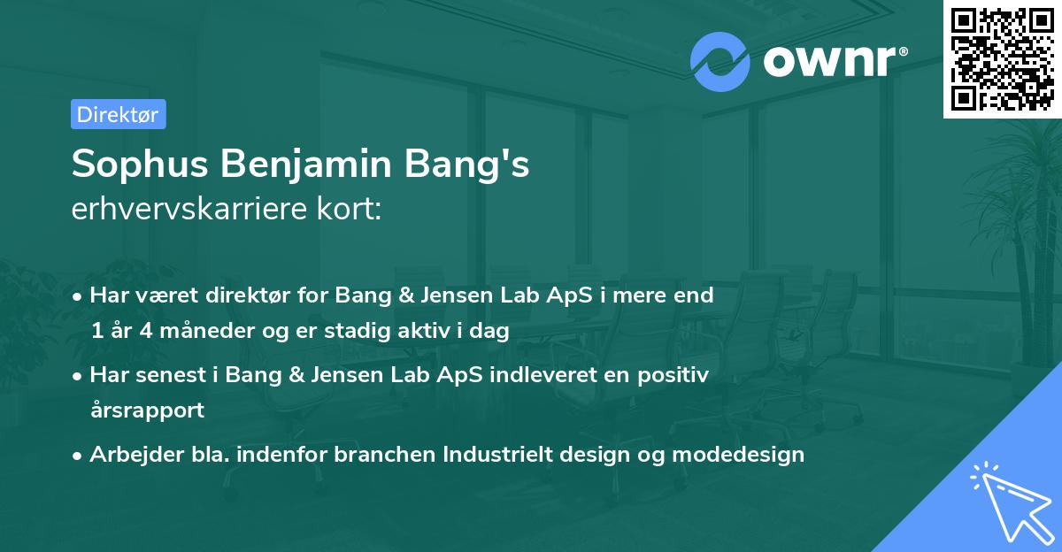 Sophus Benjamin Bang's erhvervskarriere kort