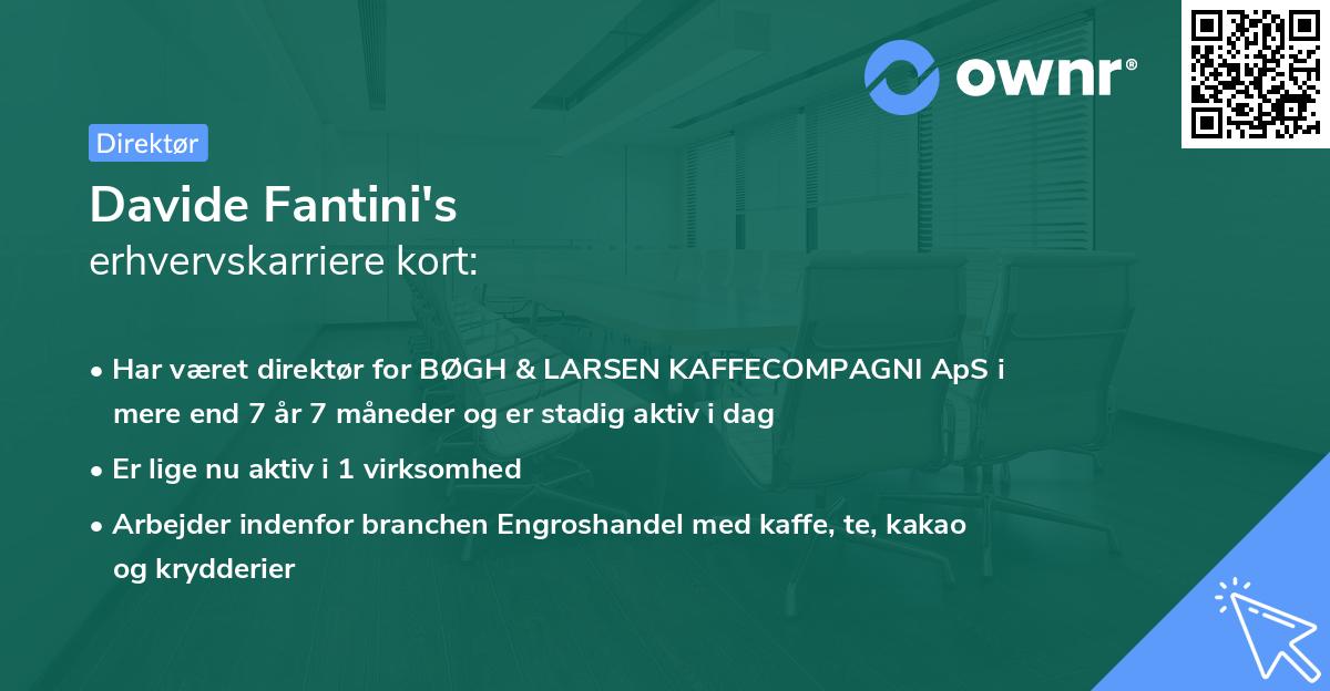 Davide Fantini's erhvervskarriere kort