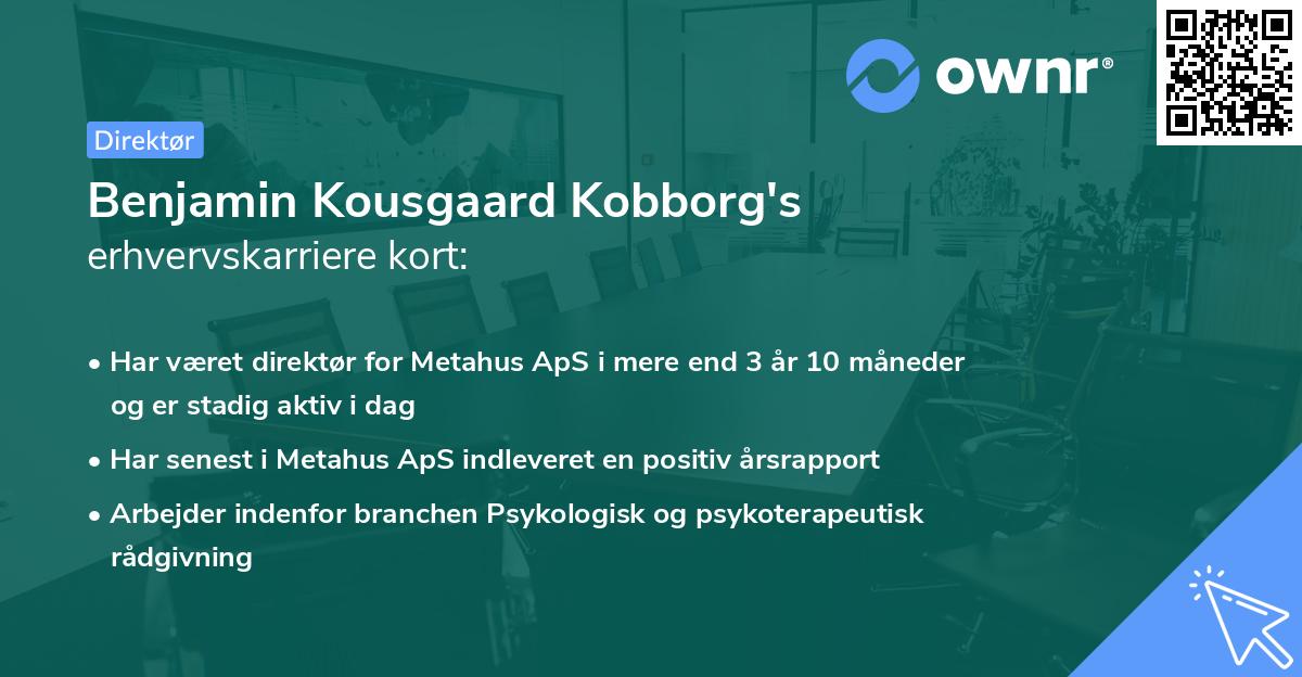 Benjamin Kousgaard Kobborg's erhvervskarriere kort