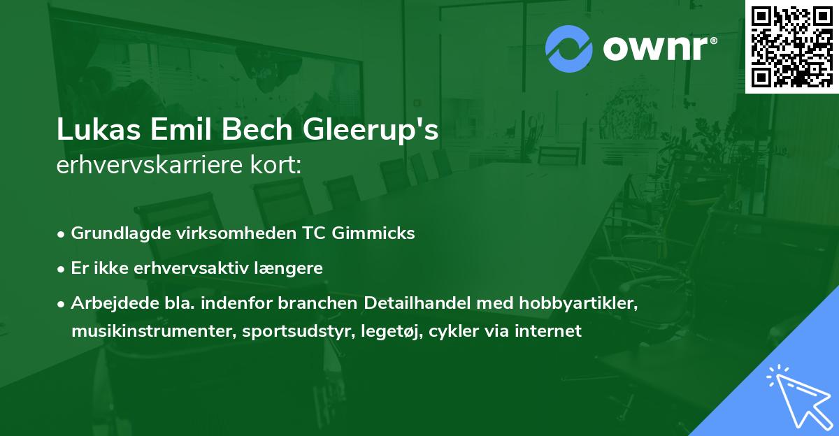 Lukas Emil Bech Gleerup's erhvervskarriere kort