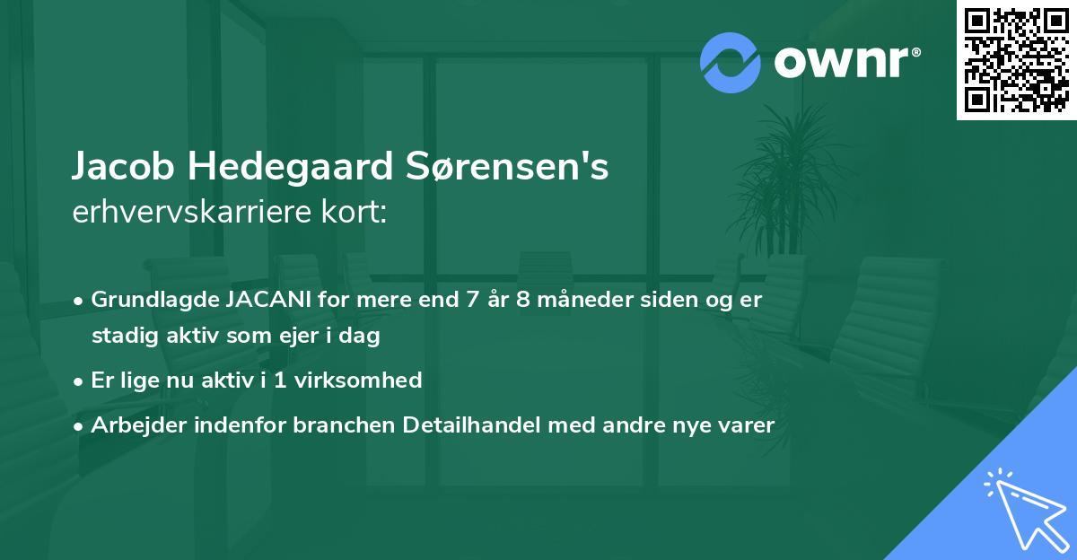 Jacob Hedegaard Sørensen's erhvervskarriere kort