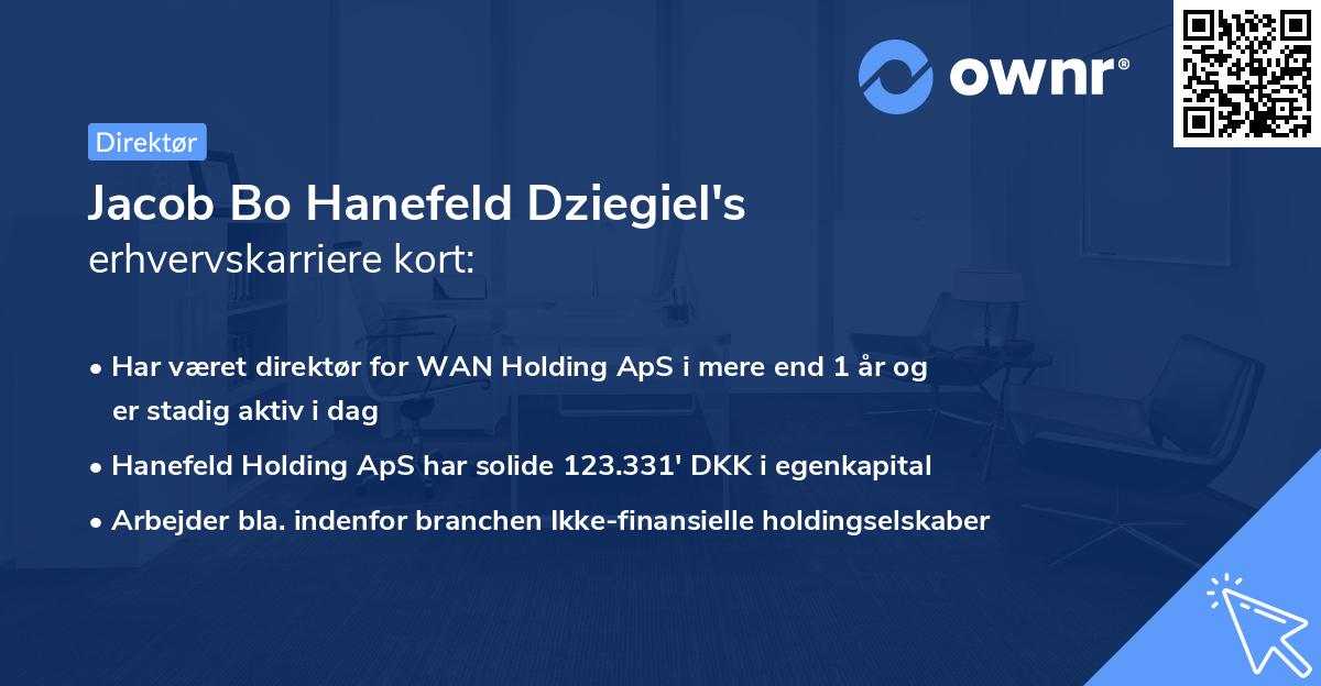 Jacob Bo Hanefeld Dziegiel's erhvervskarriere kort