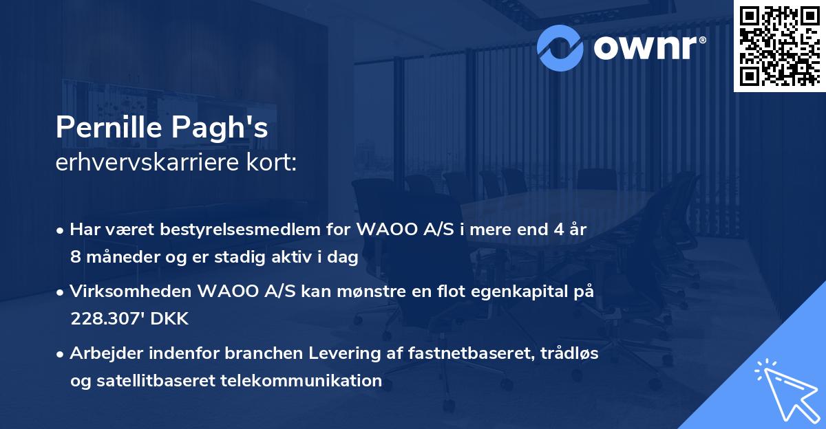 Pernille Pagh's erhvervskarriere kort