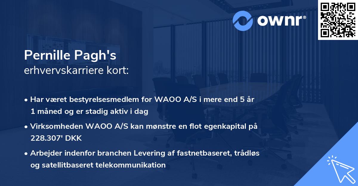 Pernille Pagh's erhvervskarriere kort