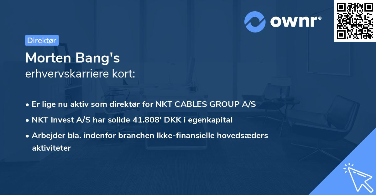 Morten Bang's erhvervskarriere kort