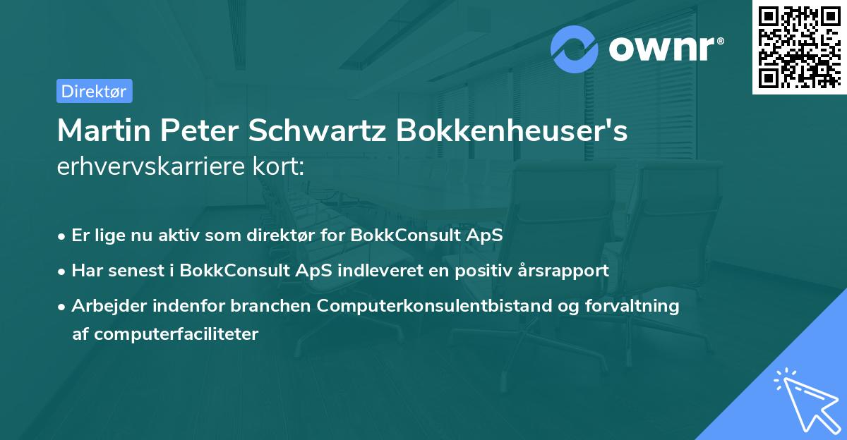 Martin Peter Schwartz Bokkenheuser's erhvervskarriere kort