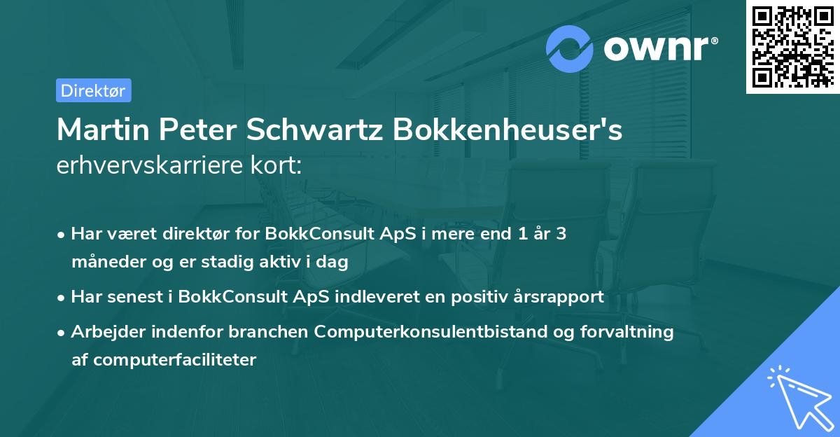 Martin Peter Schwartz Bokkenheuser's erhvervskarriere kort