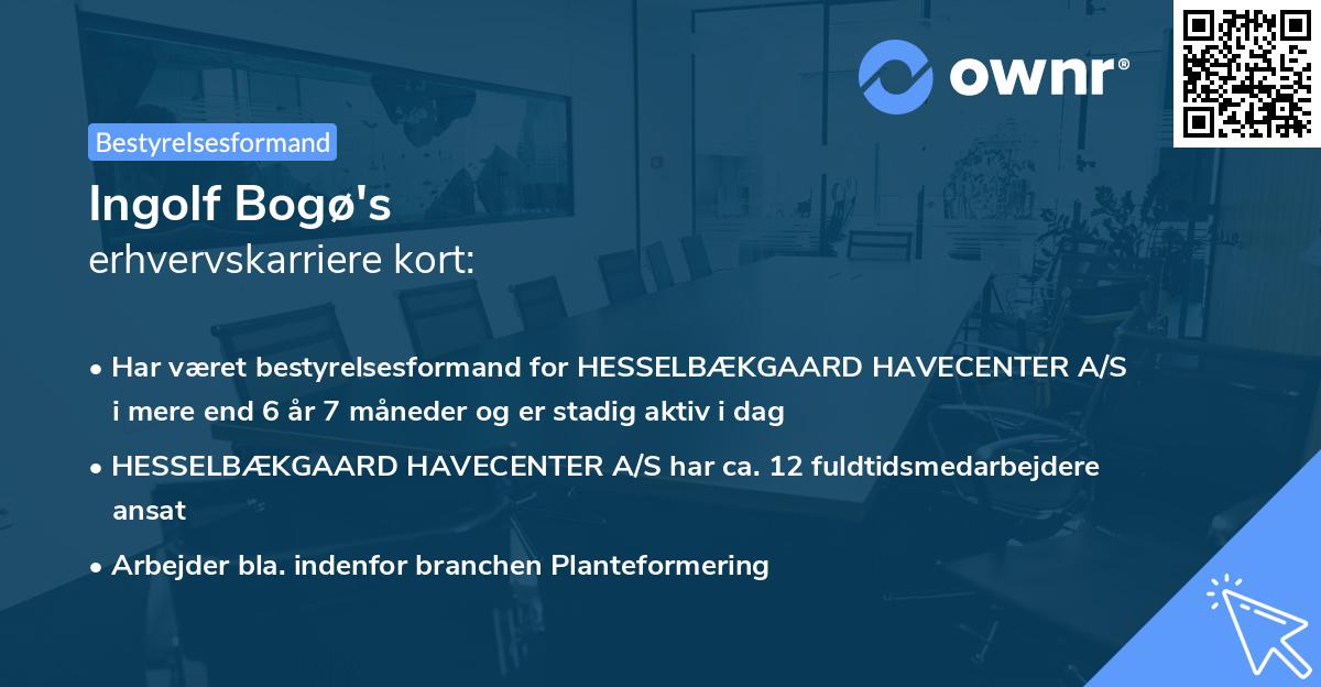 Ingolf Bogø's erhvervskarriere kort