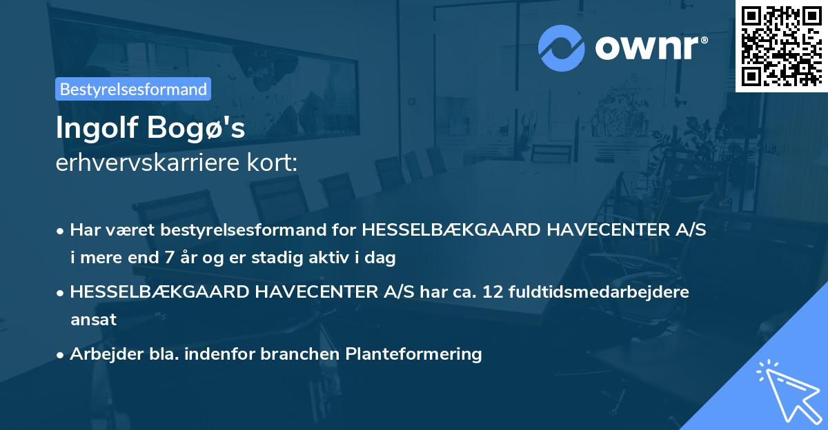 Ingolf Bogø's erhvervskarriere kort