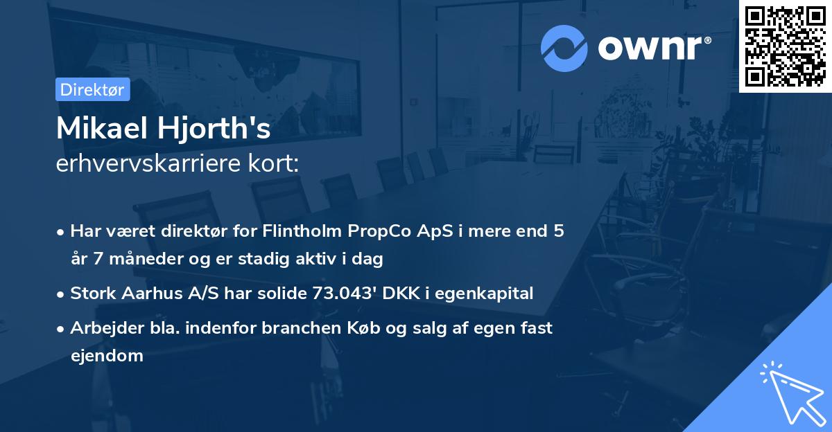 Mikael Hjorth's erhvervskarriere kort