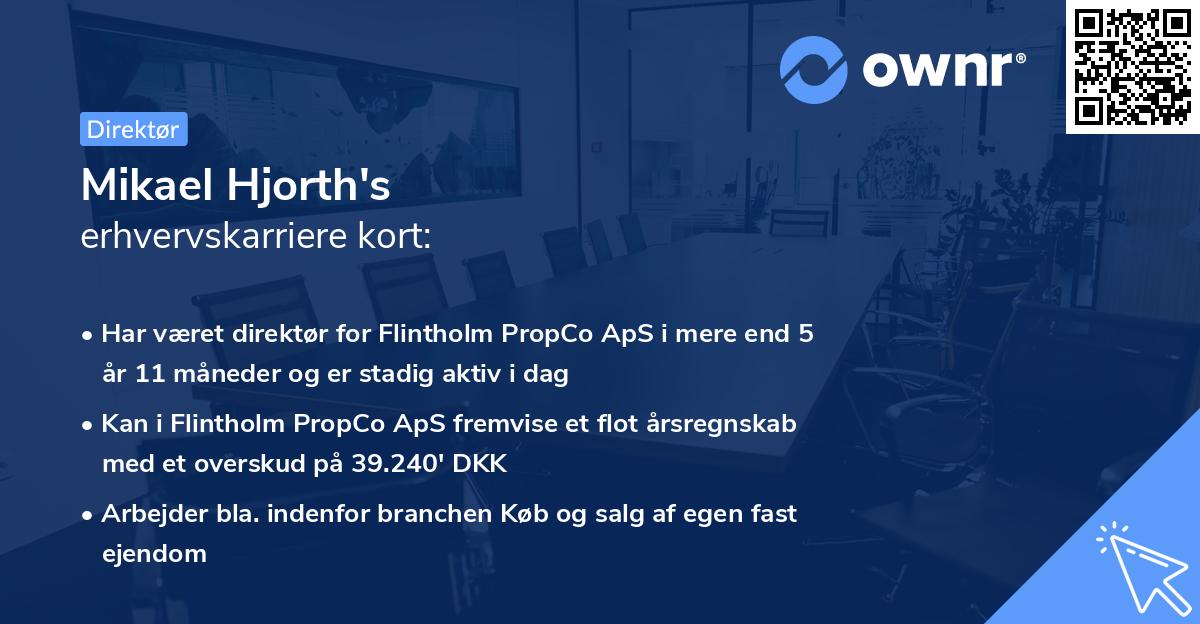 Mikael Hjorth's erhvervskarriere kort