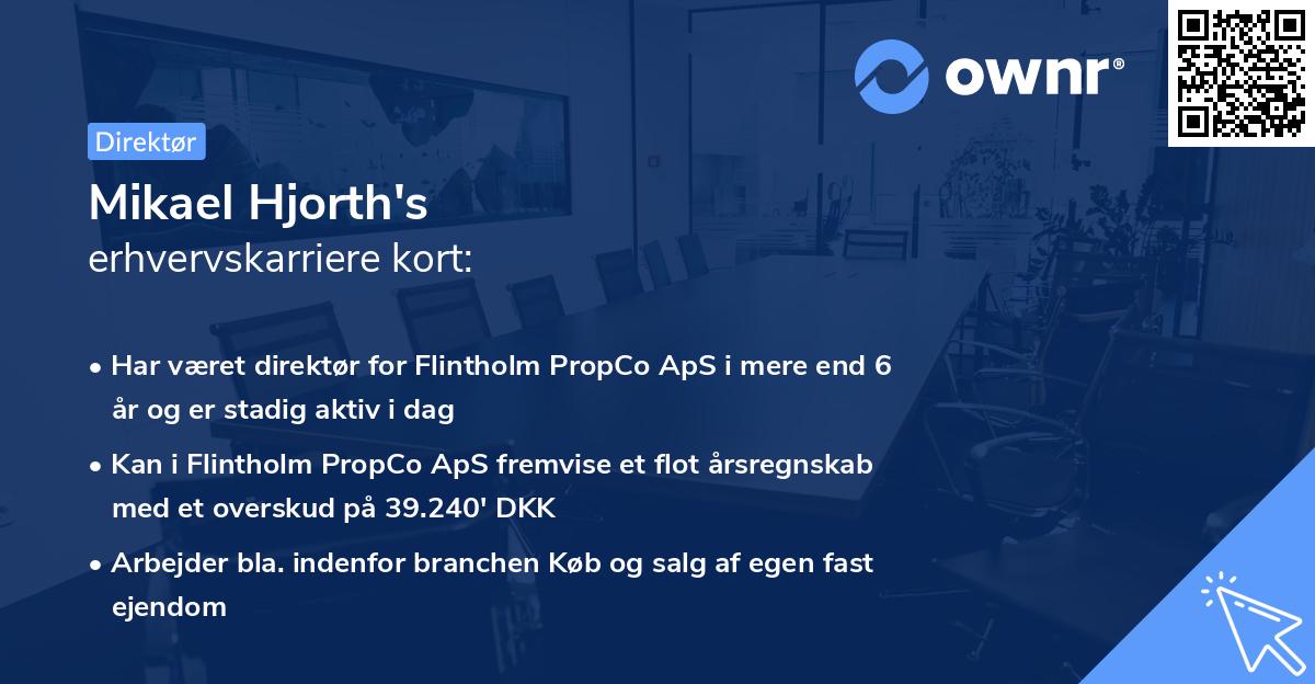 Mikael Hjorth's erhvervskarriere kort