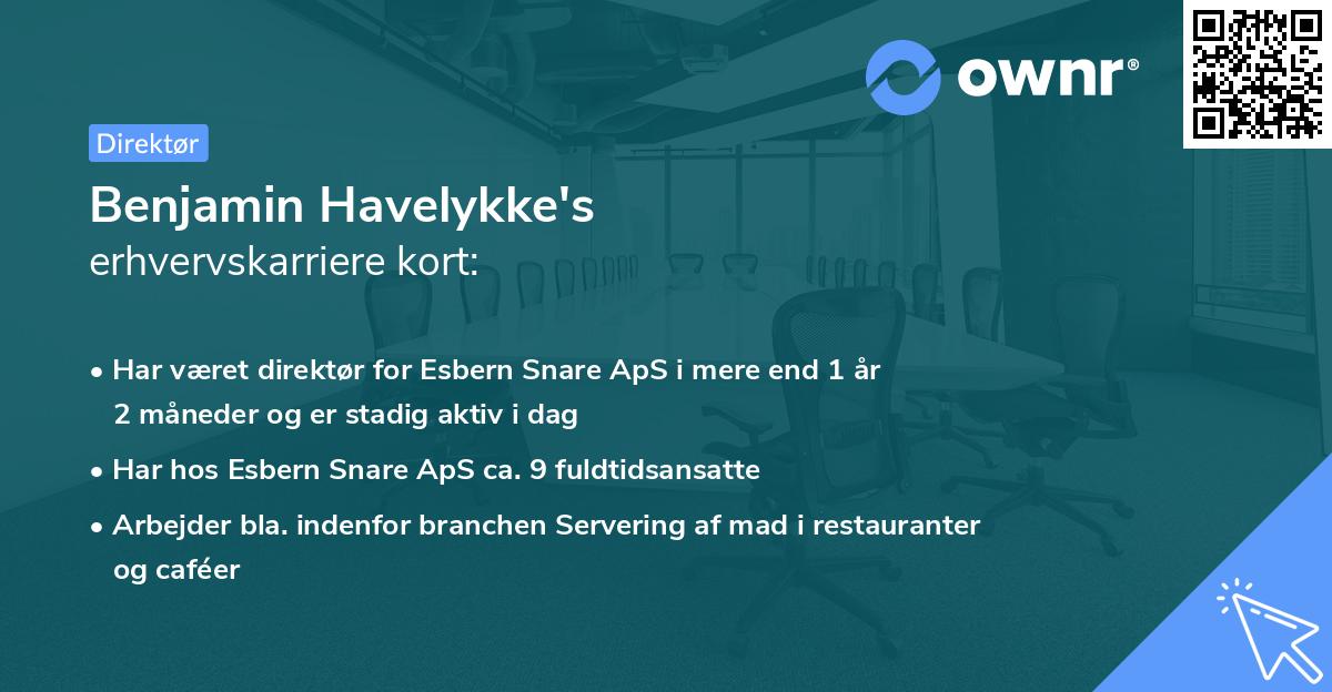 Benjamin Havelykke's erhvervskarriere kort