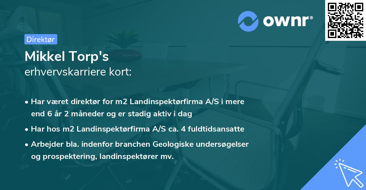 Mikkel Torp's erhvervskarriere kort