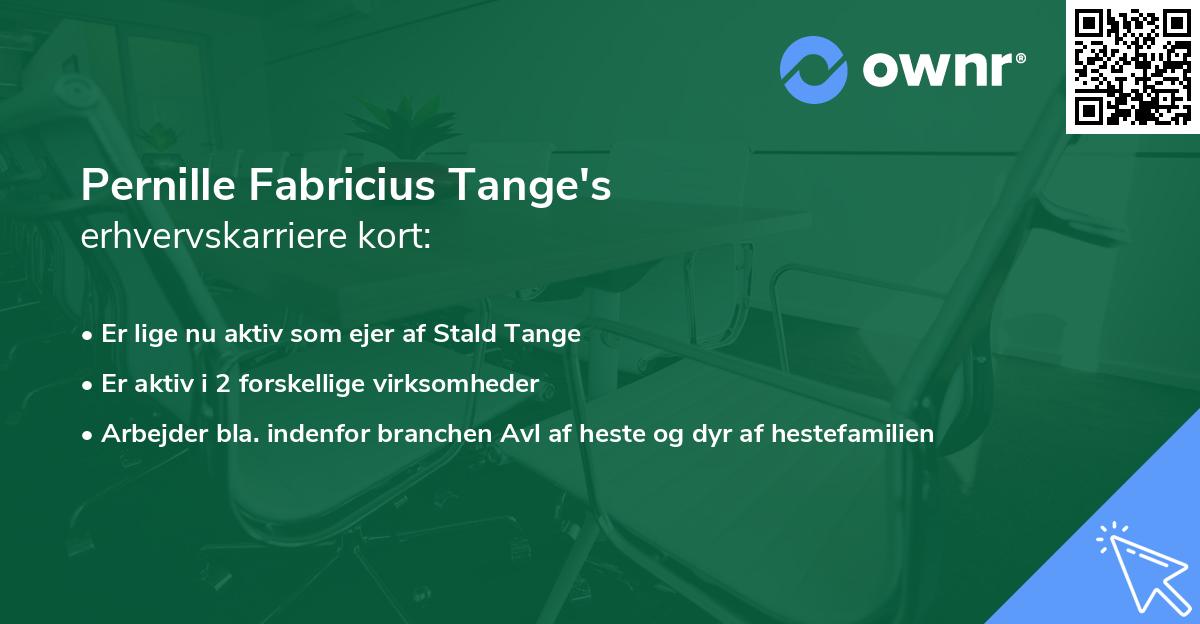 Pernille Fabricius Tange's erhvervskarriere kort