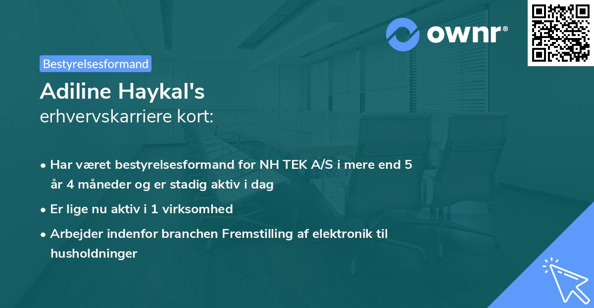 Adiline Haykal's erhvervskarriere kort