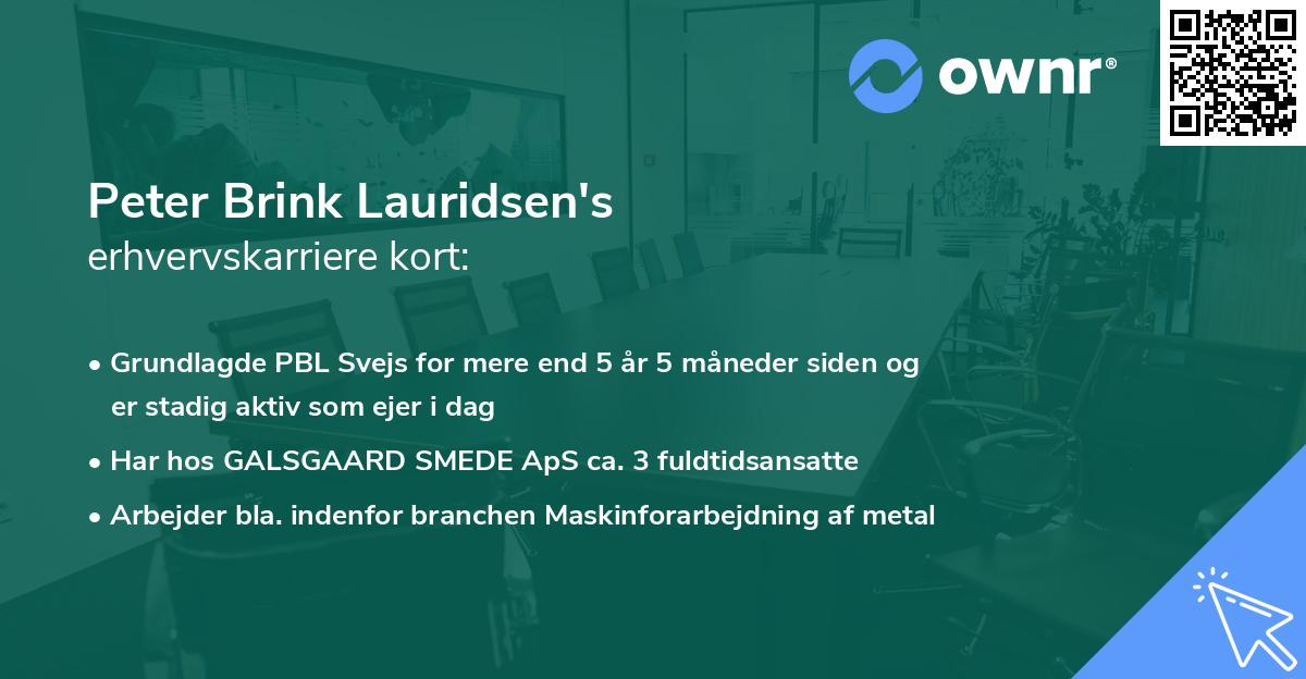 Peter Brink Lauridsen's erhvervskarriere kort