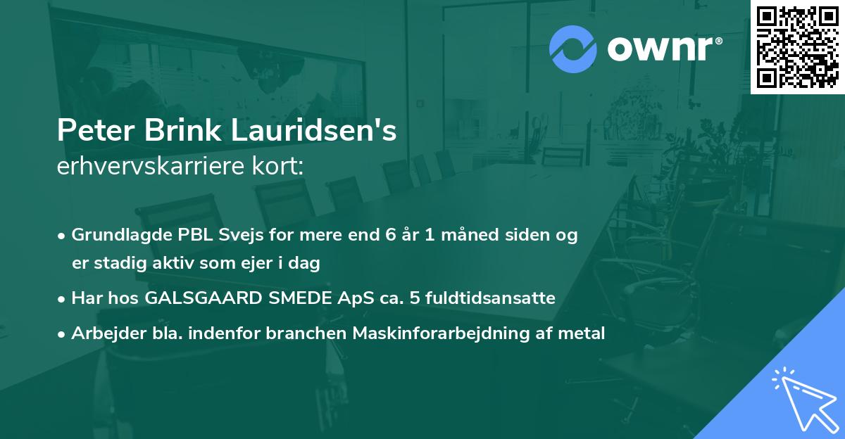 Peter Brink Lauridsen's erhvervskarriere kort