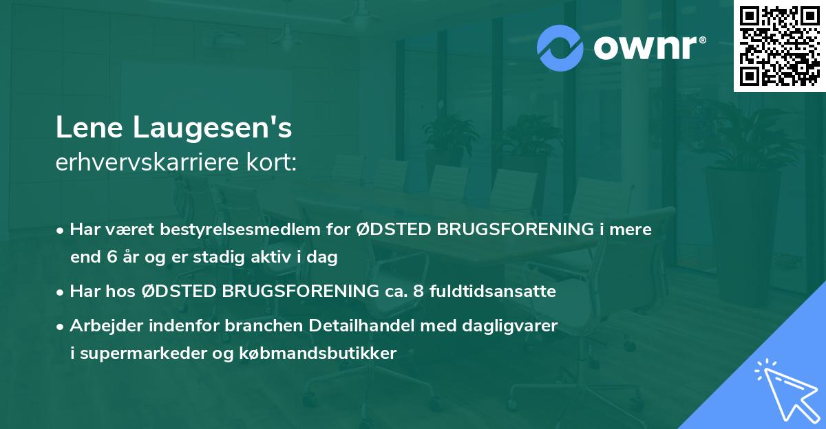 Lene Laugesen's erhvervskarriere kort