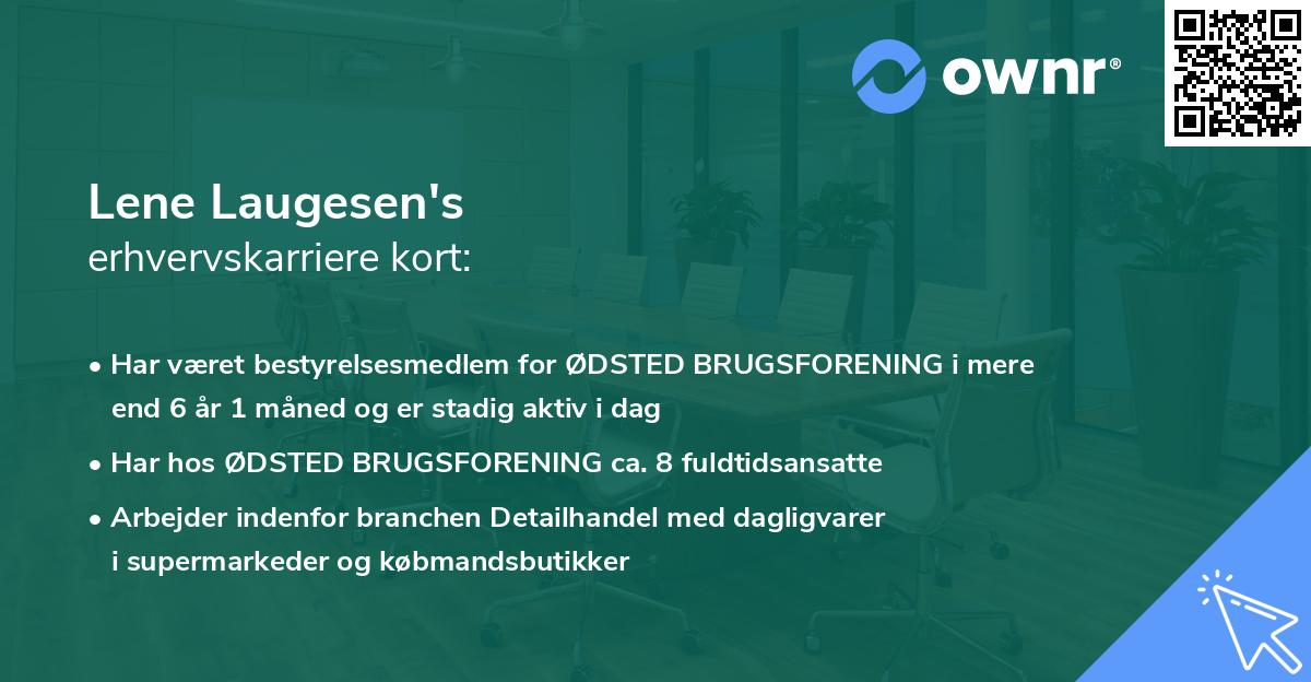 Lene Laugesen's erhvervskarriere kort