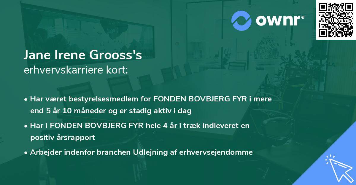 Jane Irene Grooss's erhvervskarriere kort
