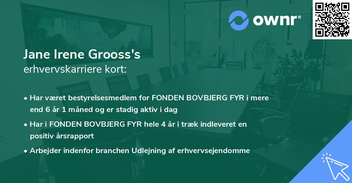 Jane Irene Grooss's erhvervskarriere kort